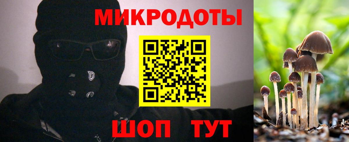 Псилоцибиновые грибы MAGIC MUSHROOMS  Вход с VPN  Лянтор 
