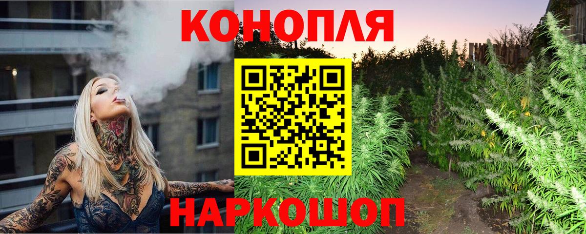Бошки Шишки MAZAR Лянтор